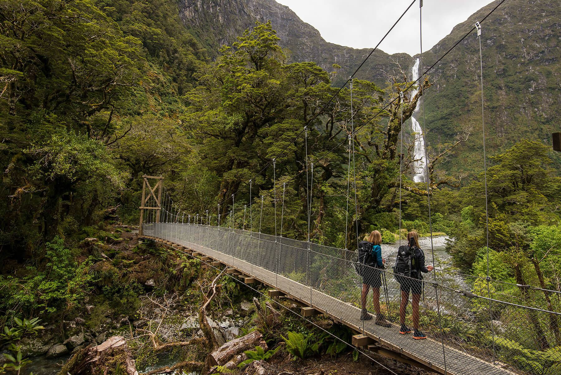 milford track hike